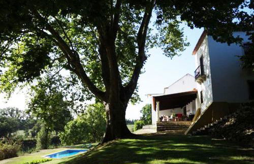 Quinta do Sanguinhal - Foto 28