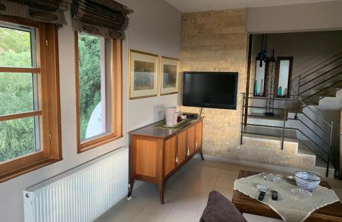 Elis superb villa - Foto 23