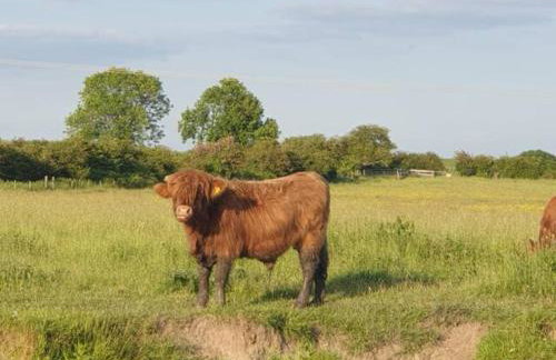 Waterbeach Boatel - Foto 22