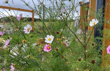 Makihyte dom na wyłączność z panoramą na morze i strefą SPA - Foto 53