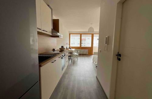 Loft mit Balkon & Parkplatz, Nähe Basel - Foto 13