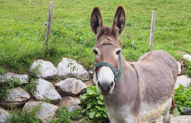 Elegant Apartment Near the ski bus - Foto 11