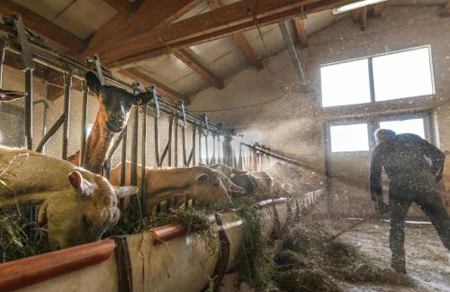 Agritur Maso Piasina - Photo 26