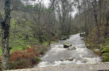 El Secreto del Arroyo - Photo 65