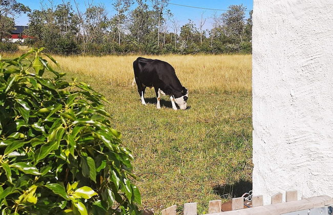 2 Person Holiday Home in Morbylanga-by Traum - Foto 23