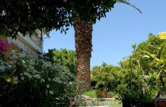 Best Sunset View - Foto 22