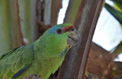 MelBliss Gostoso - Foto 76