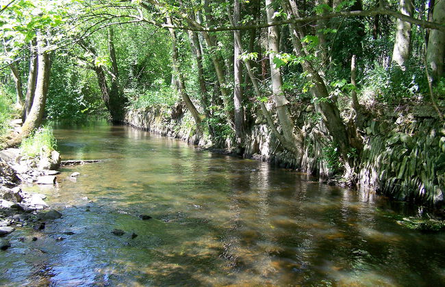 3 bedroom House in Vielsalm with garden - Photo 13