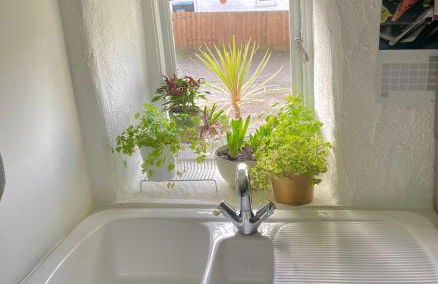 Idyllic Cornish Cottage, Superking bed, private garden dogs welcome - Photo 47