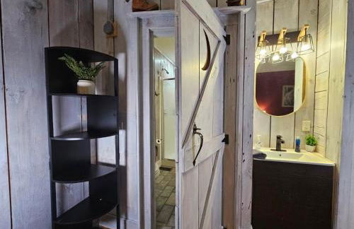 Bird's Nest cabin at Cabin Fever in NC - Foto 9