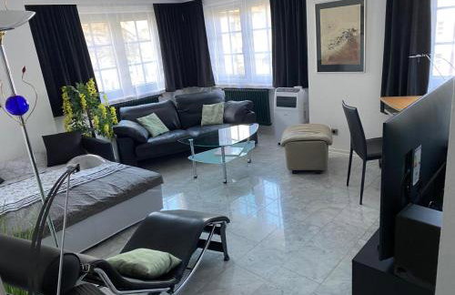 Excl Ferienwohnung im Dreiländereck D-F-CH mit beheiztem kl Pool zum Schwimmen und Massieren - Foto 5