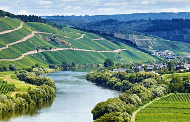 Holiday Home Moselle Valley - Photo 9