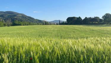 Casa Vacanze Nonna Vittoria - Foto 2