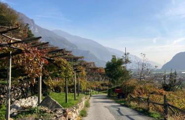 Maison Garavet - Foto 22