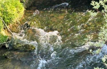 Vidi Apartments Fils Blick - Foto 8