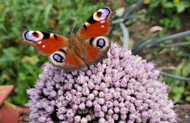 Reset w górach - Foto 26