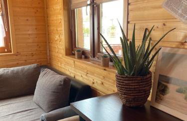 Villa OCTOPUS - Foto 20