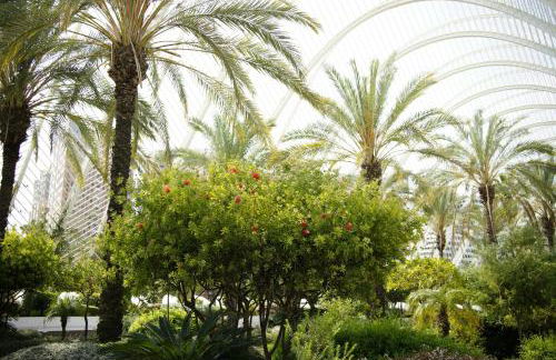 APARTAMENTOS CIUDAD DE LAS ARTES Y LAS CIENCIAS - Foto 55