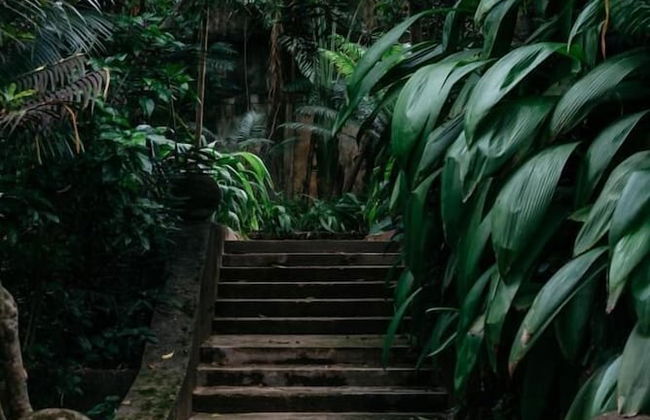 Boutique 87 - Photo 38