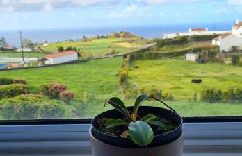 Casa Miramar - Photo 17