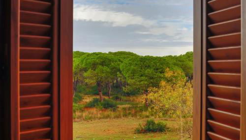 Precioso apartamento a 700 m del mar - Foto 2