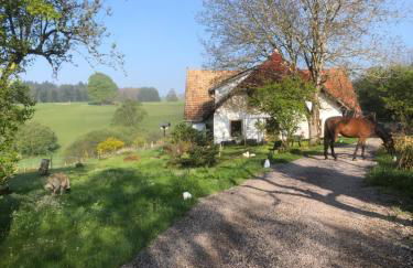 Pfaffensteghof - Foto 16