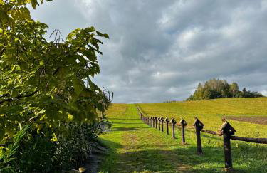 Cabanówka - Foto 35