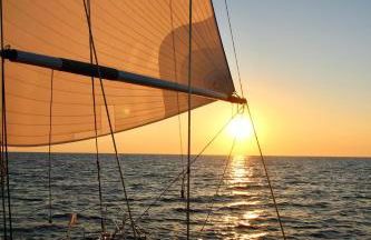 Pferdestall - Foto 34