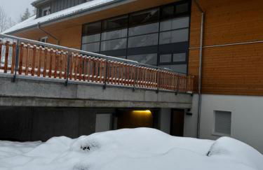 Feldberg Apartment - direkt an der Skipiste - mit Sauna - Foto 45