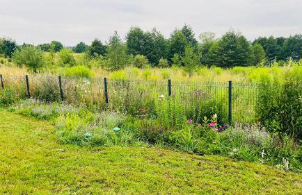 Czapla i Żuraw - Foto 29