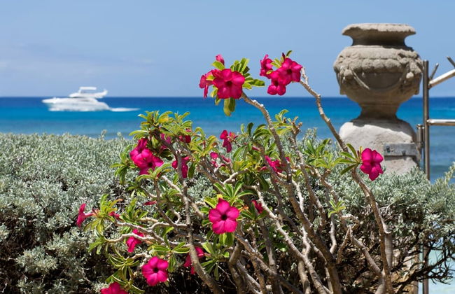 Leamington Pavilion by Blue Sky Luxury - Foto 36