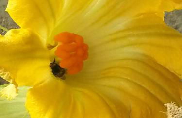 Agriturismo Fioredizucca - Foto 1