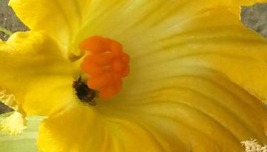 Agriturismo Fioredizucca - Foto 1