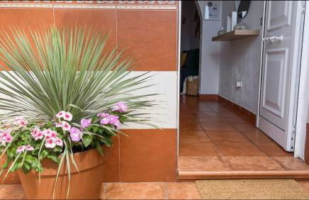 Harmony Beach Views Home with Terrace - Foto 18