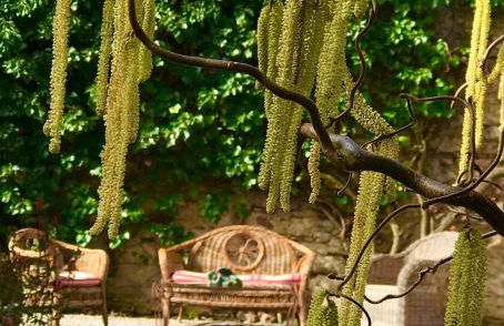 Domaine LaPromise - Photo 47