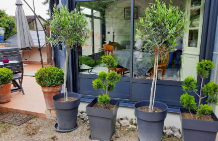 Le Pavillon Tilia - Foto 30