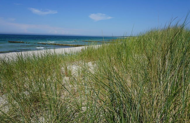 Wohnung mit Garten in Wieck a. Darss - Foto 15