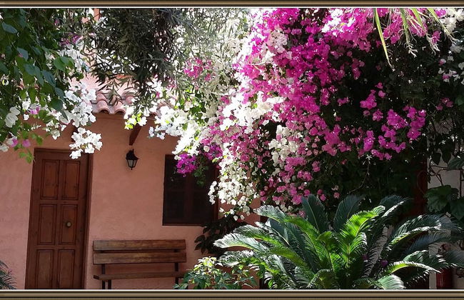 Excusive 1 Bedroom Cottage in Paleochora - Foto 23