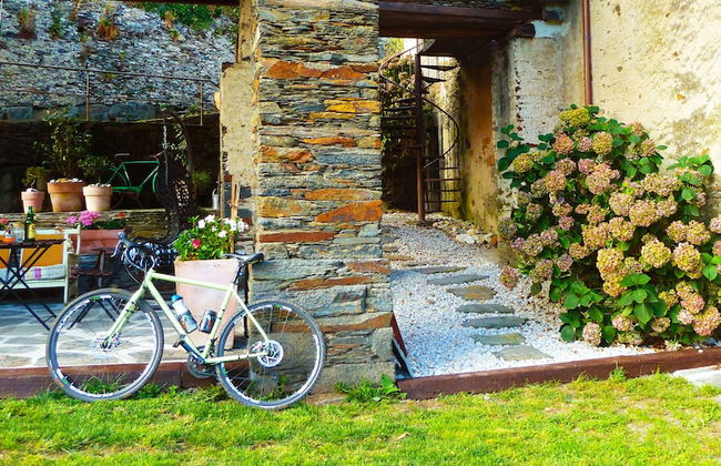 El Bosque de las Viñas - Foto 67