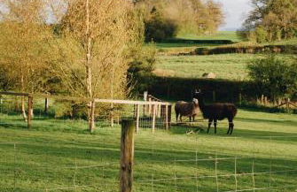 Little Underhill - Photo 37