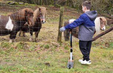 Misty Mountain Log Cabin - Trawsfynydd - Foto 14