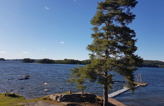 4 Person Holiday Home in Horn - Foto 18