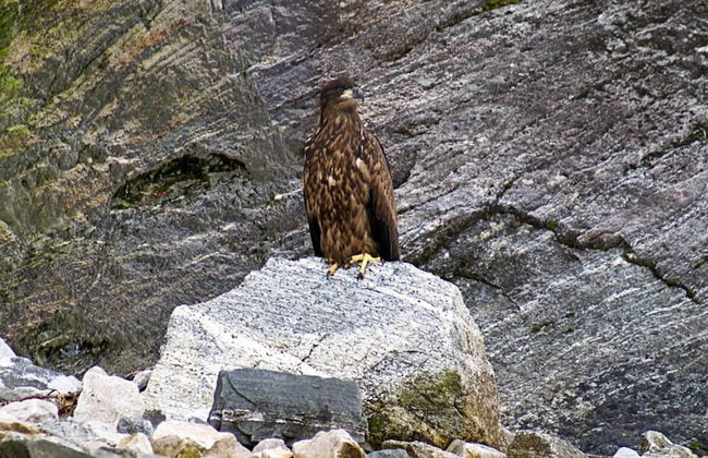 Holiday Home in EidsvÃ¥g - Foto 32