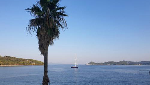 The Little Prince - Foto 3