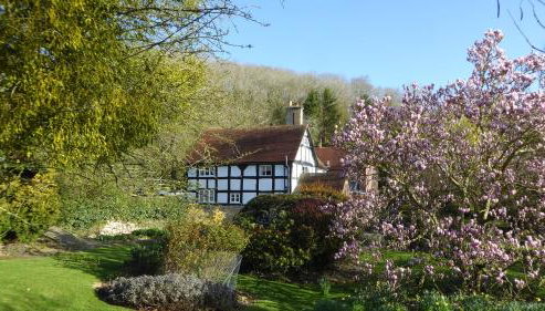Coppice House - Foto 4, Garden, Garden view