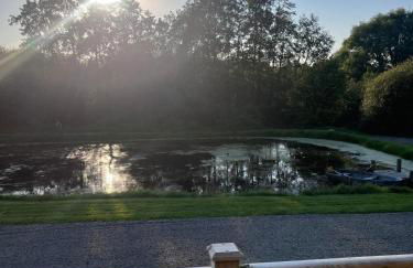 'Cosy Gem' Cabin Woodland Retreat Randalstown NI - Foto 34