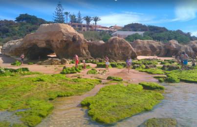 Herdade dos Salgados - Foto 74