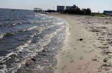 Downtown- Sunshine Cottage and Golf Cart - Foto 44