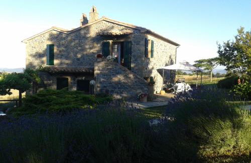 Agriturismo Cantinaccia di Sopra - Foto 50