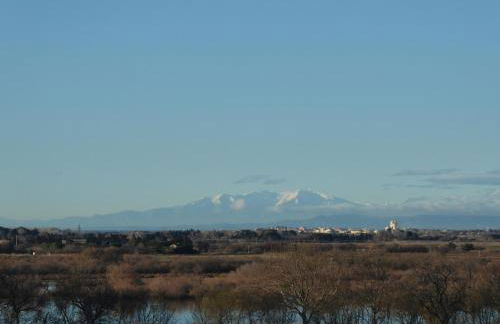 Gîte des Jonquiès, au calme vue sur le canal du midi et la mer - Foto 9